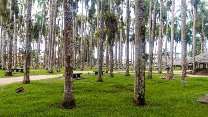 7 Must Visit Places in Suriname